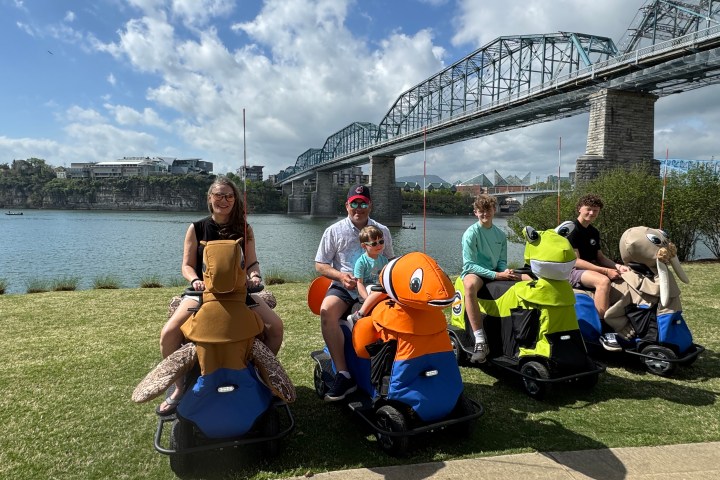 a group of people sitting in the grass